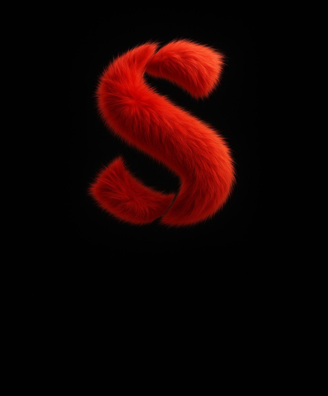 Shaan Snaps Studio